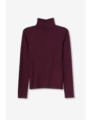 Cisne Murcia Tiffosi Amatista